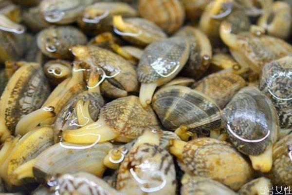 怎么判斷花甲死沒(méi)死 判斷花甲死沒(méi)死的方法 怎么判斷花甲死沒(méi)死 判斷花甲死沒(méi)死的方法