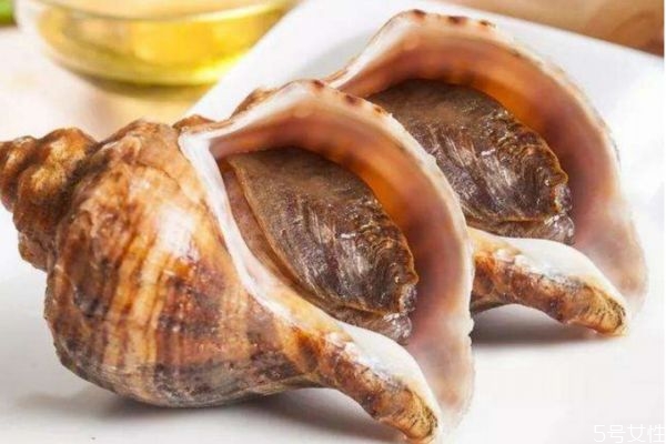 海螺應(yīng)該怎么清洗 清洗海螺的方法有什么 海螺應(yīng)該怎么清洗 清洗海螺的方法有什么