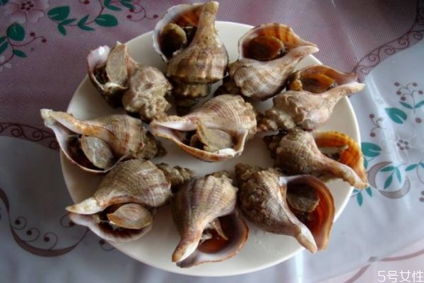 如何挑選海螺 挑選海螺的方法 如何挑選海螺 挑選海螺的方法