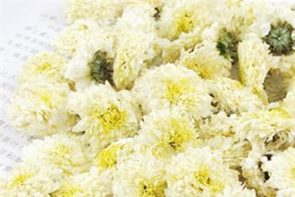 貢菊花怎么選購(gòu) 貢菊花怎么泡 貢菊花怎么選購(gòu) 貢菊花怎么泡