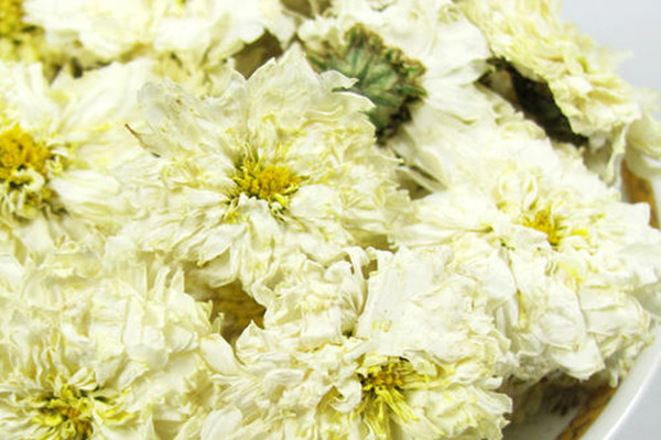 喝貢菊花的好處 貢菊怎樣區(qū)分 喝貢菊花的好處 貢菊怎樣區(qū)分