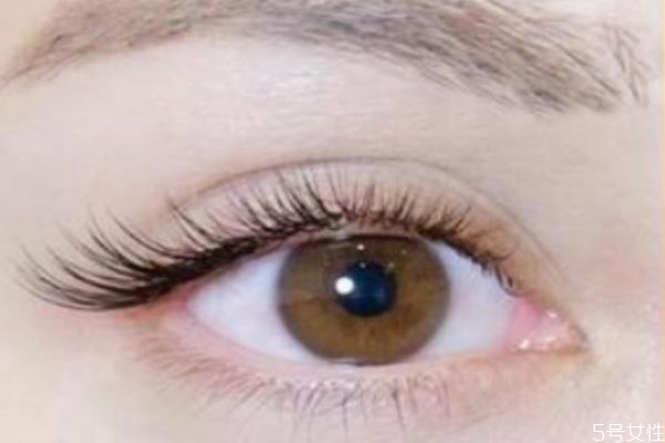 內(nèi)雙接睫毛好看嗎 內(nèi)雙接什么睫毛好看 內(nèi)雙接睫毛好看嗎 內(nèi)雙接什么睫毛好看