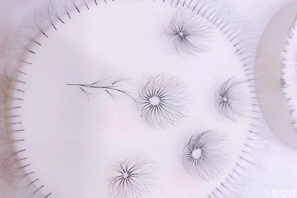 嫁接睫毛不舒服的原因 嫁接睫毛后的注意事項(xiàng) 嫁接睫毛不舒服的原因 嫁接睫毛后的注意事項(xiàng)