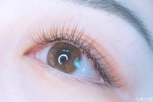 睫毛嫁接是粘在哪里 睫毛嫁接竅門 睫毛嫁接是粘在哪里 睫毛嫁接竅門