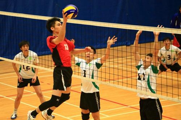 初學(xué)者練排球要戴護(hù)腕嗎 打排球戴護(hù)腕能減輕疼痛嗎 初學(xué)者練排球要戴護(hù)腕嗎 打排球戴護(hù)腕能減輕疼痛嗎