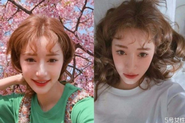 泰迪劉海是什么意思 泰迪卷劉海適合什么臉型 泰迪劉海是什么意思 泰迪卷劉海適合什么臉型