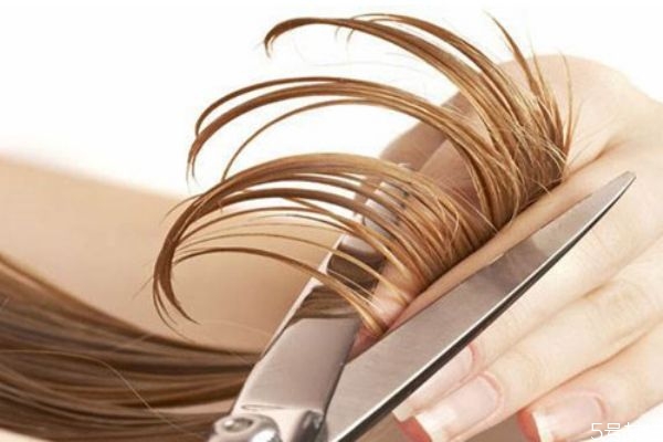 假發(fā)劉海片怎么洗 假發(fā)怎么保養(yǎng) 假發(fā)劉海片怎么洗 假發(fā)怎么保養(yǎng)