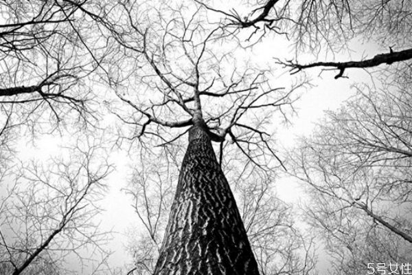 男生喜歡任性的女生嗎 男人很難放下的女人 男生喜歡任性的女生嗎 男人很難放下的女人