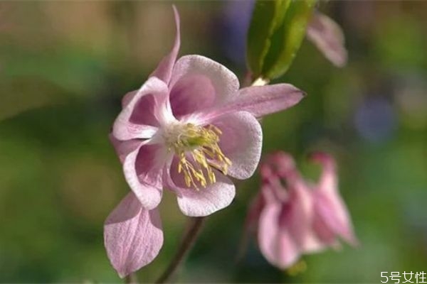 夫妻感情破裂如何挽回 夫妻感情破裂怎么挽救 夫妻感情破裂如何挽回 夫妻感情破裂怎么挽救