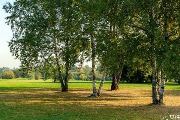 男朋友出軌了分手了自己又放不下怎么辦 分手還放不下 男朋友出軌了分手了自己又放不下怎么辦 分手還放不下