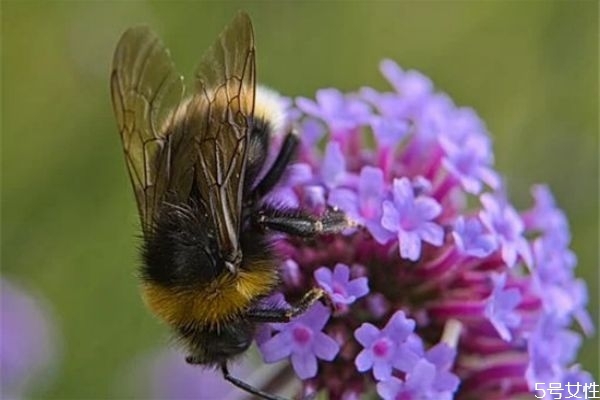 要離婚老公要怎么挽回 如何挽留老公的心 要離婚老公要怎么挽回 如何挽留老公的心