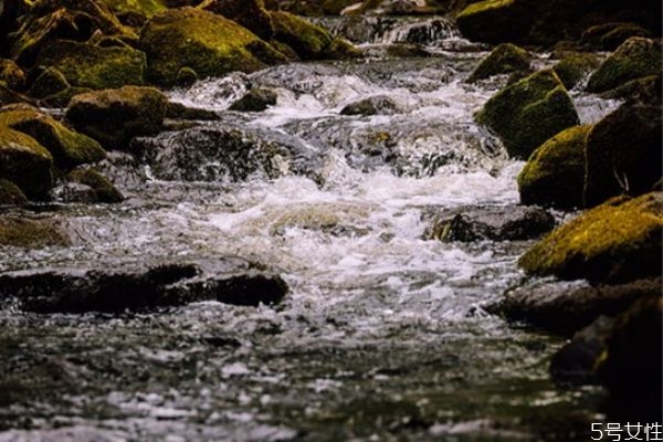 鳳凰男和什么女人合適 為什么鳳凰男喜歡娶獨(dú)生女 鳳凰男和什么女人合適 為什么鳳凰男喜歡娶獨(dú)生女