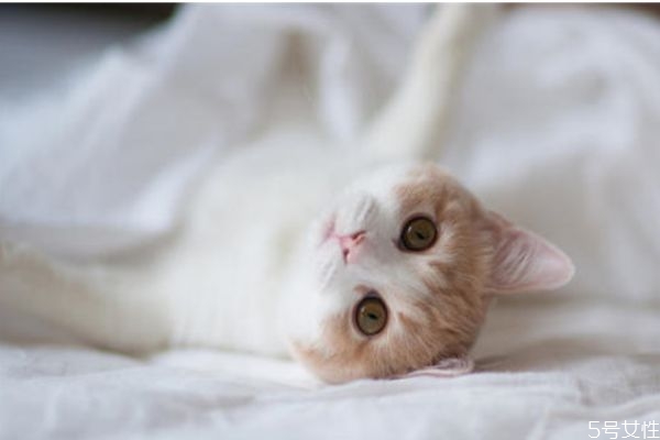 男朋友出軌了分手了自己又放不下怎么辦 分手還放不下 男朋友出軌了分手了自己又放不下怎么辦 分手還放不下