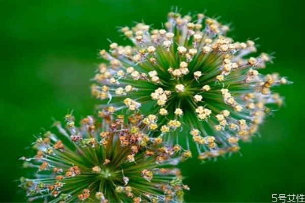 男人說(shuō)性格不合會(huì)復(fù)合嗎 性格不合分手能和好嗎 男人說(shuō)性格不合會(huì)復(fù)合嗎 性格不合分手能和好嗎