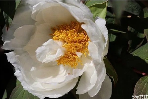 知道丈夫出軌又不想離婚怎么辦 怎樣放下老公出軌的事 知道丈夫出軌又不想離婚怎么辦 怎樣放下老公出軌的事