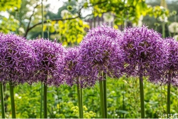 老公愛上了小三怎么辦 分離老公和小三的方法 老公愛上了小三怎么辦 分離老公和小三的方法