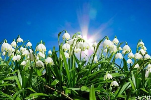 死纏爛打的小三怎么處理 原配對付小三的絕妙方法 死纏爛打的小三怎么處理 原配對付小三的絕妙方法