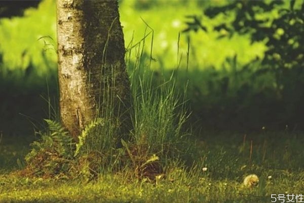 為什么男生喜歡冷戰(zhàn) 冷戰(zhàn)時(shí)男人的想法 為什么男生喜歡冷戰(zhàn) 冷戰(zhàn)時(shí)男人的想法