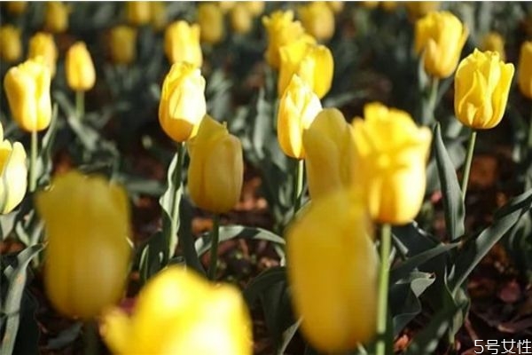 為什么男生喜歡冷戰(zhàn) 冷戰(zhàn)時(shí)男人的想法 為什么男生喜歡冷戰(zhàn) 冷戰(zhàn)時(shí)男人的想法