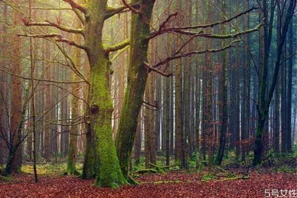 為什么男生喜歡冷戰(zhàn) 冷戰(zhàn)時(shí)男人的想法 為什么男生喜歡冷戰(zhàn) 冷戰(zhàn)時(shí)男人的想法