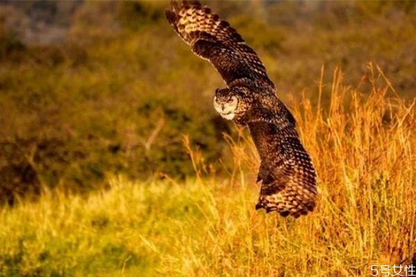 夫妻冷戰(zhàn)怎么辦 夫妻經(jīng)常冷戰(zhàn)會(huì)怎么樣 夫妻冷戰(zhàn)怎么辦 夫妻經(jīng)常冷戰(zhàn)會(huì)怎么樣