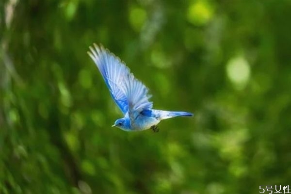 夫妻冷戰(zhàn)多久會沒有感情 冷戰(zhàn)之后怎么和好 夫妻冷戰(zhàn)多久會沒有感情 冷戰(zhàn)之后怎么和好