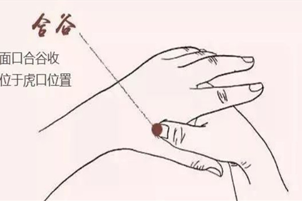 合谷穴在哪里 合谷穴怎么找 合谷穴在哪里 合谷穴怎么找