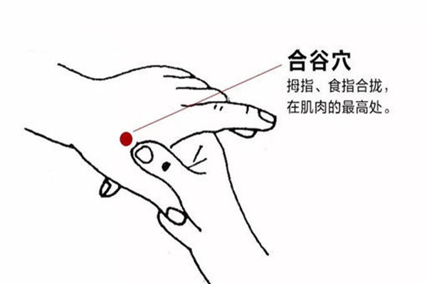 合谷穴在哪里 合谷穴怎么找 合谷穴在哪里 合谷穴怎么找
