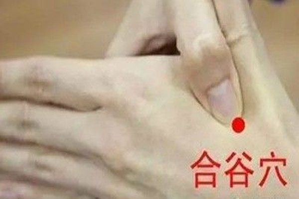 合谷穴能針灸嗎 合谷穴針灸的作用 合谷穴能針灸嗎 合谷穴針灸的作用