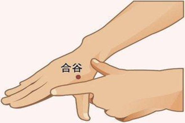 合谷穴的日常保健作用 合谷穴針灸有什么感覺 合谷穴的日常保健作用 合谷穴針灸有什么感覺