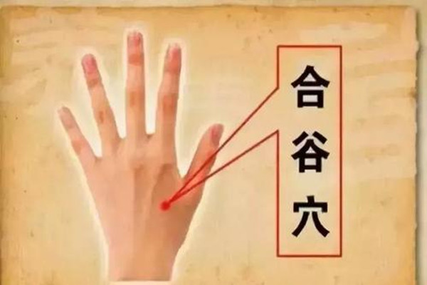 合谷穴的日常保健作用 合谷穴針灸有什么感覺 合谷穴的日常保健作用 合谷穴針灸有什么感覺