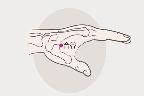合谷穴的日常保健作用 合谷穴針灸有什么感覺 合谷穴的日常保健作用 合谷穴針灸有什么感覺