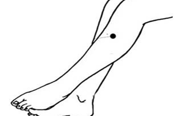 足三里是什么穴位 足三里怎么找 足三里是什么穴位 足三里怎么找