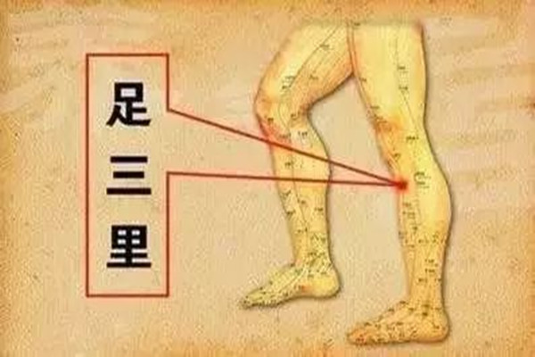 足三里是什么穴位 足三里怎么找 足三里是什么穴位 足三里怎么找