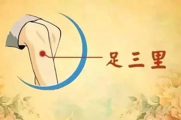 常灸足三里有哪些保健作用 灸足三里對下肢有什么好處 常灸足三里有哪些保健作用 灸足三里對下肢有什么好處