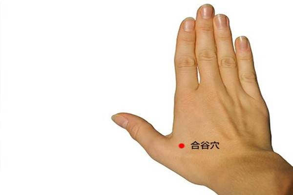 合谷穴艾灸的作用 合谷穴艾灸的好處 合谷穴艾灸的作用 合谷穴艾灸的好處