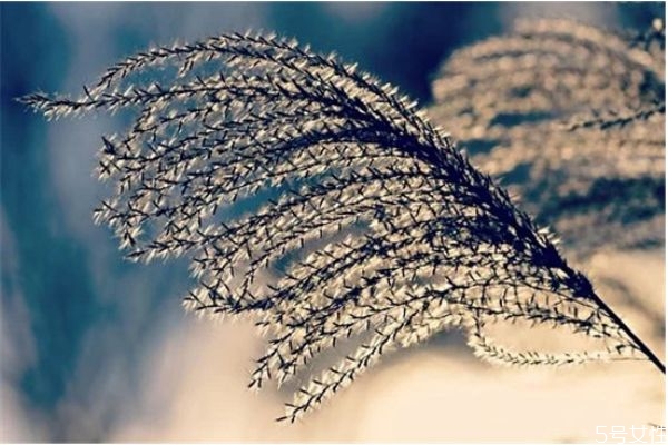 離婚后怎樣與前夫相處 離婚后如何對(duì)待前夫 離婚后怎樣與前夫相處 離婚后如何對(duì)待前夫