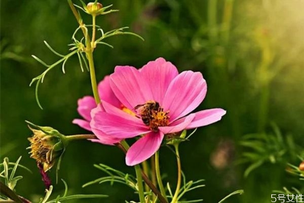 離婚后怎樣與前夫相處 離婚后如何對(duì)待前夫 離婚后怎樣與前夫相處 離婚后如何對(duì)待前夫