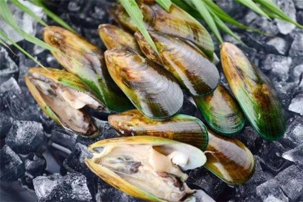 青口貝的熱量 青口貝吃多了會胖嗎 青口貝的熱量 青口貝吃多了會胖嗎