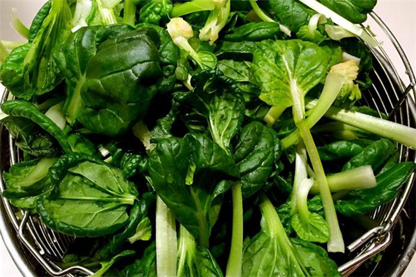 菊花菜是什么 菊花菜的功效與作用 菊花菜是什么 菊花菜的功效與作用