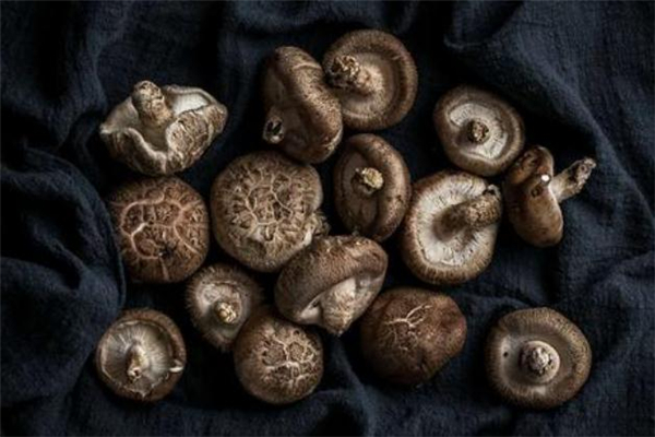 冬菇是什么 冬菇是發(fā)物嗎 冬菇是什么 冬菇是發(fā)物嗎
