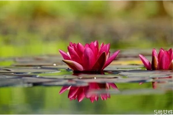 網(wǎng)上認(rèn)識(shí)的相親男怎么發(fā)展 網(wǎng)上相親的男人聊天不主動(dòng) 網(wǎng)上認(rèn)識(shí)的相親男怎么發(fā)展 網(wǎng)上相親的男人聊天不主動(dòng)