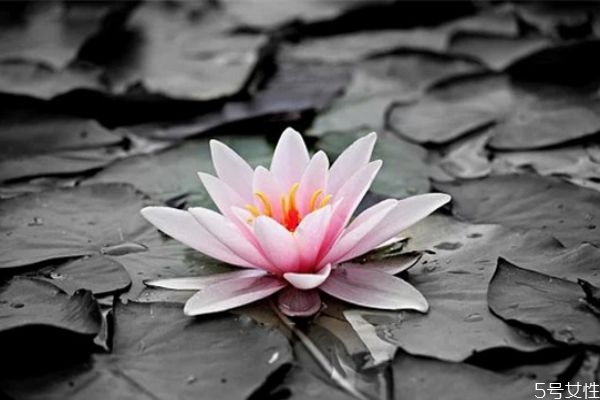 網(wǎng)上認(rèn)識(shí)的相親男怎么發(fā)展 網(wǎng)上相親的男人聊天不主動(dòng) 網(wǎng)上認(rèn)識(shí)的相親男怎么發(fā)展 網(wǎng)上相親的男人聊天不主動(dòng)