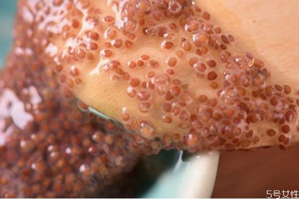 顆粒海藻面膜會(huì)不會(huì)過期 過期的海藻面膜有什么妙用