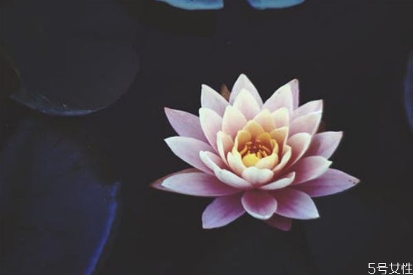 相親第二次女生主動買單 女生主動買單是什么意思 相親第二次女生主動買單 女生主動買單是什么意思