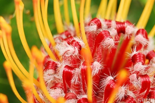 網(wǎng)上相親成功的多嗎 相親成功技巧 網(wǎng)上相親成功的多嗎 相親成功技巧