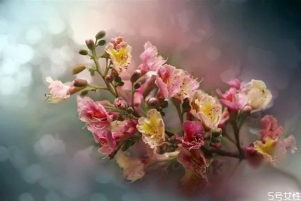 為什么結(jié)婚后一定要脫離原生家庭 結(jié)婚后與原生家庭關(guān)系 為什么結(jié)婚后一定要脫離原生家庭 結(jié)婚后與原生家庭關(guān)系