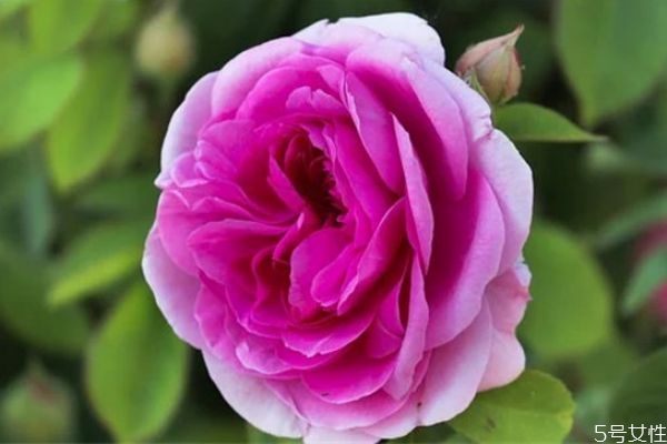 精神出軌怎么約束最好 感覺自己精神出軌了怎么辦 精神出軌怎么約束最好 感覺自己精神出軌了怎么辦