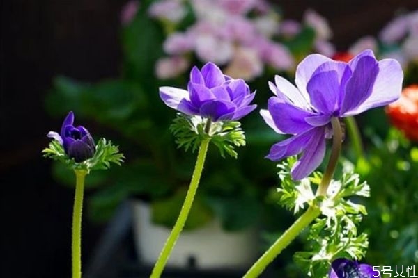 中年男人出軌的下場(chǎng) 婚前出軌與婚后出軌有什么區(qū)別 中年男人出軌的下場(chǎng) 婚前出軌與婚后出軌有什么區(qū)別