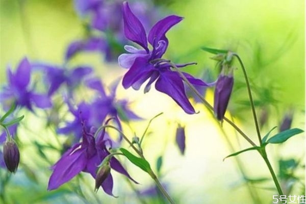 為什么結(jié)婚后一定要脫離原生家庭 結(jié)婚后與原生家庭關(guān)系 為什么結(jié)婚后一定要脫離原生家庭 結(jié)婚后與原生家庭關(guān)系